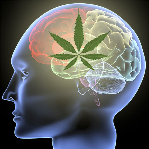 awareness-month-parkinsons-brain-medical-marijuana-treats