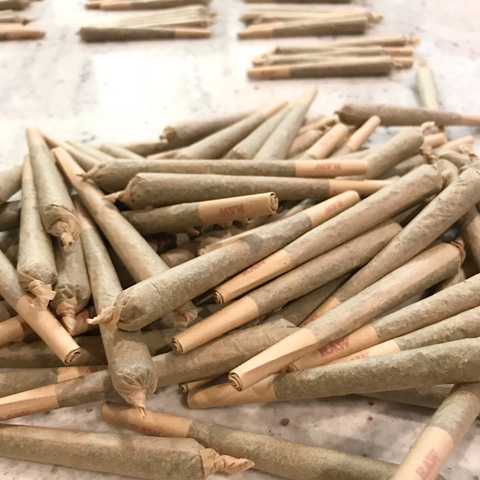 pre-rolls-dispensary-joint