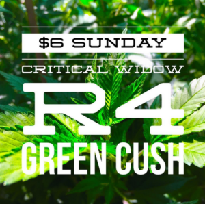 Critical-Widow-R4-Green Cush