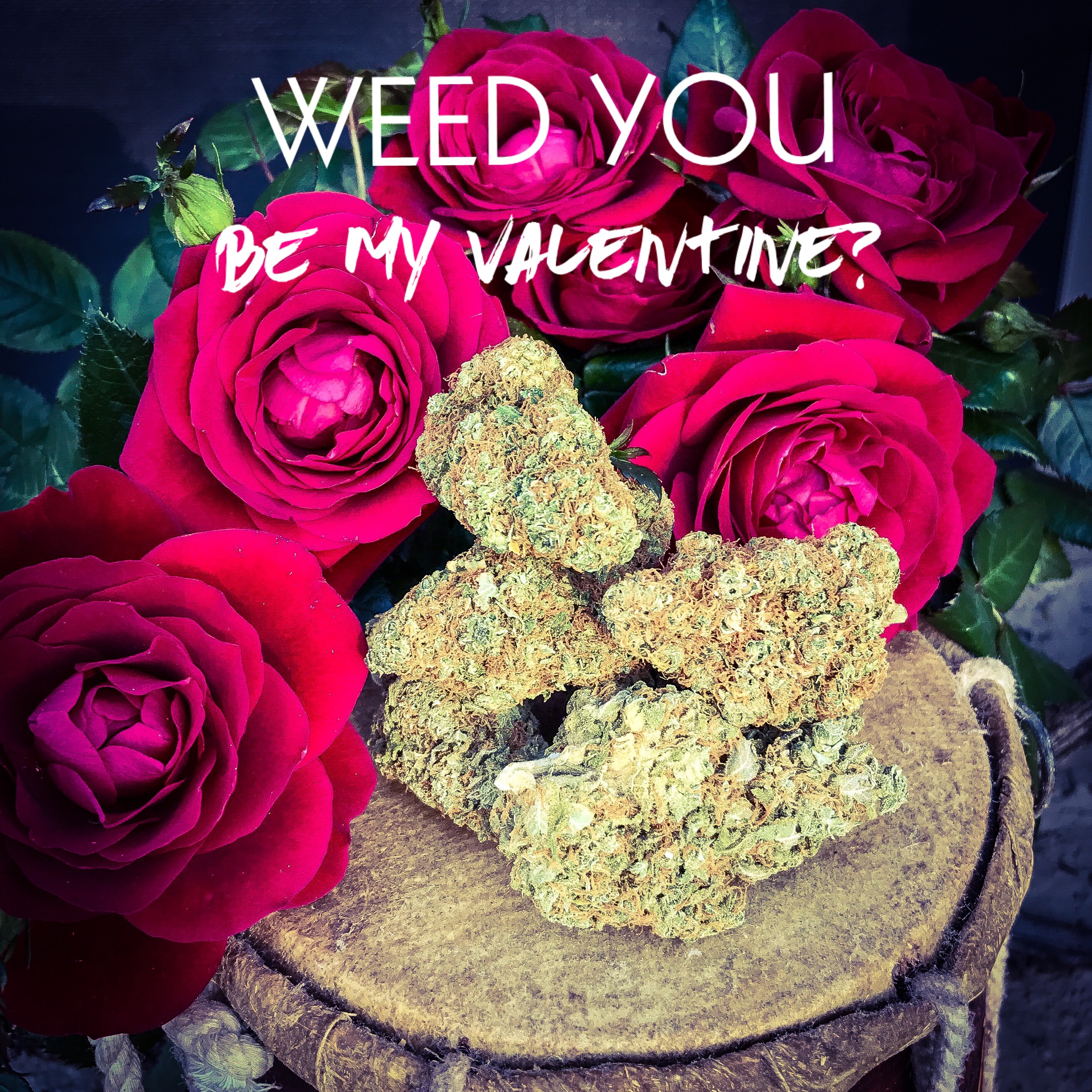 weed-you-be-my-valentine
