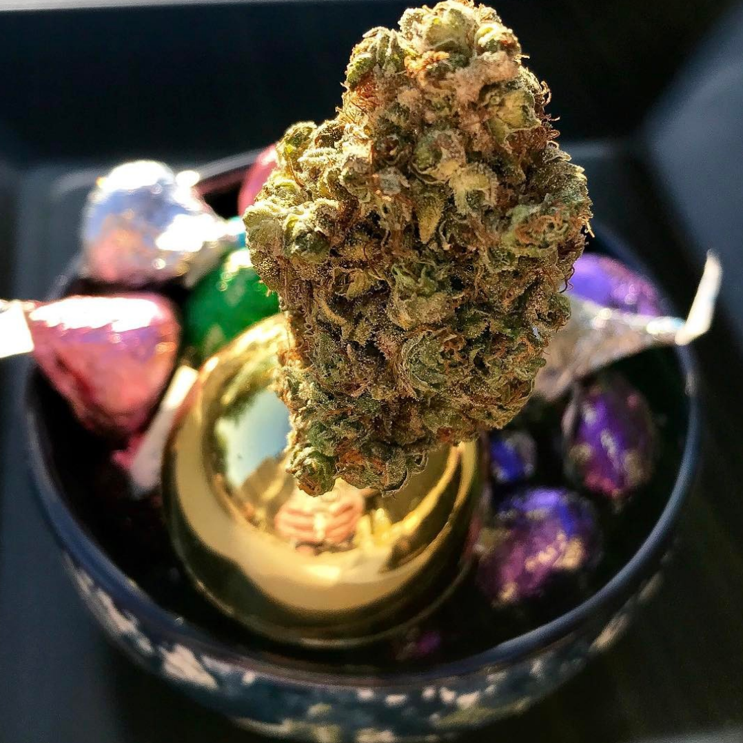 golden egg and bud marijuana