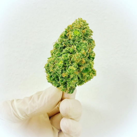 medical marijuana in tucson arizona