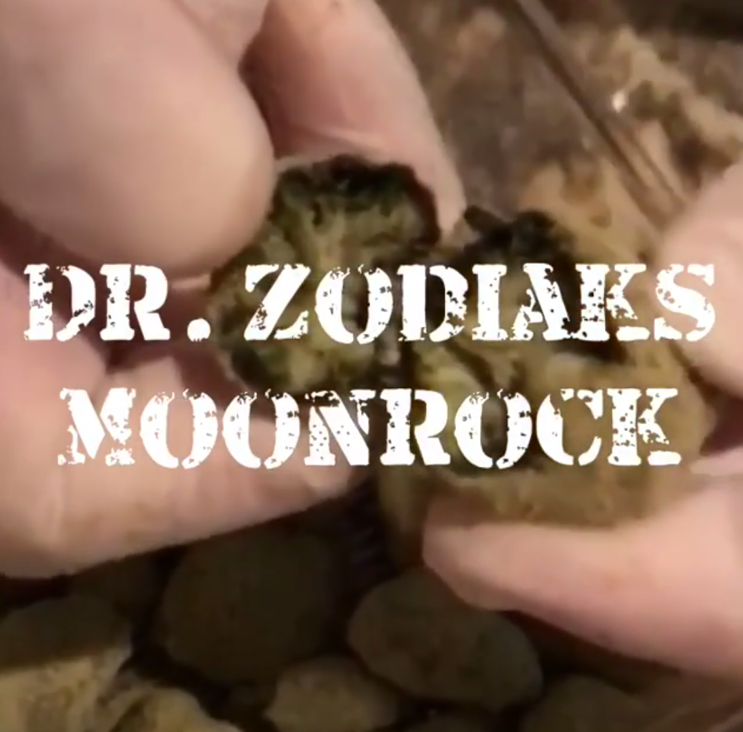 Moonrock Mania Dr Zodiaks