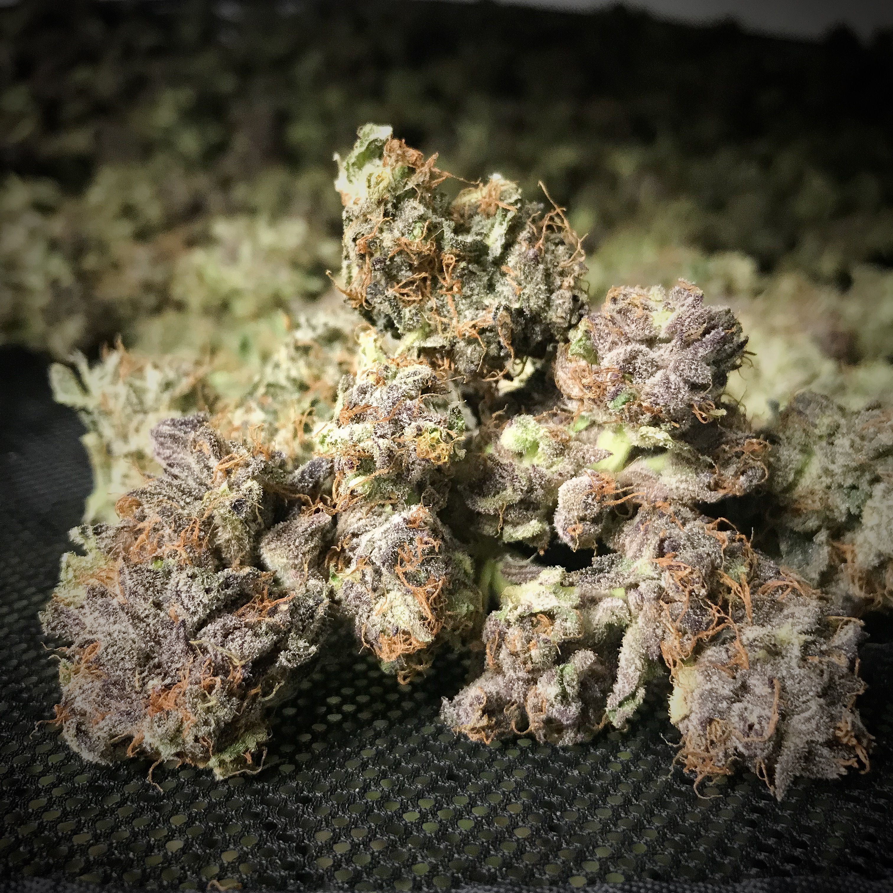 top tier strains in tucson