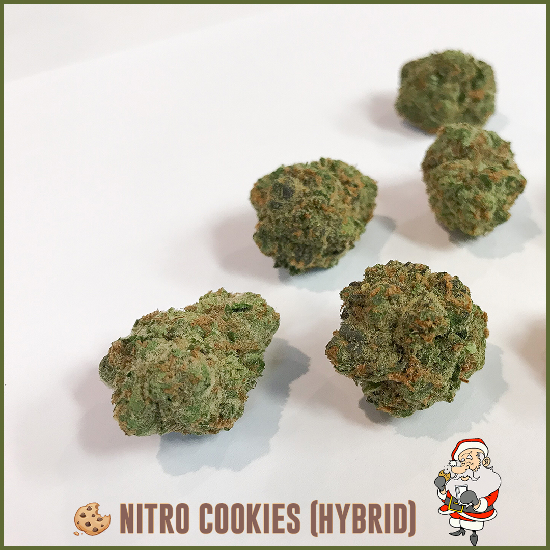 nitro-cookies-hybrid-strain-tucson-saints