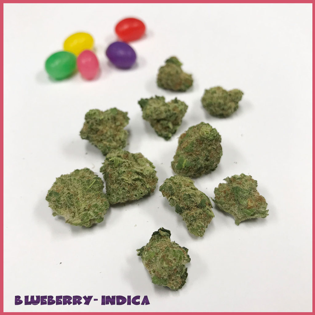 Blueberry--Indica-strain-easter-saints
