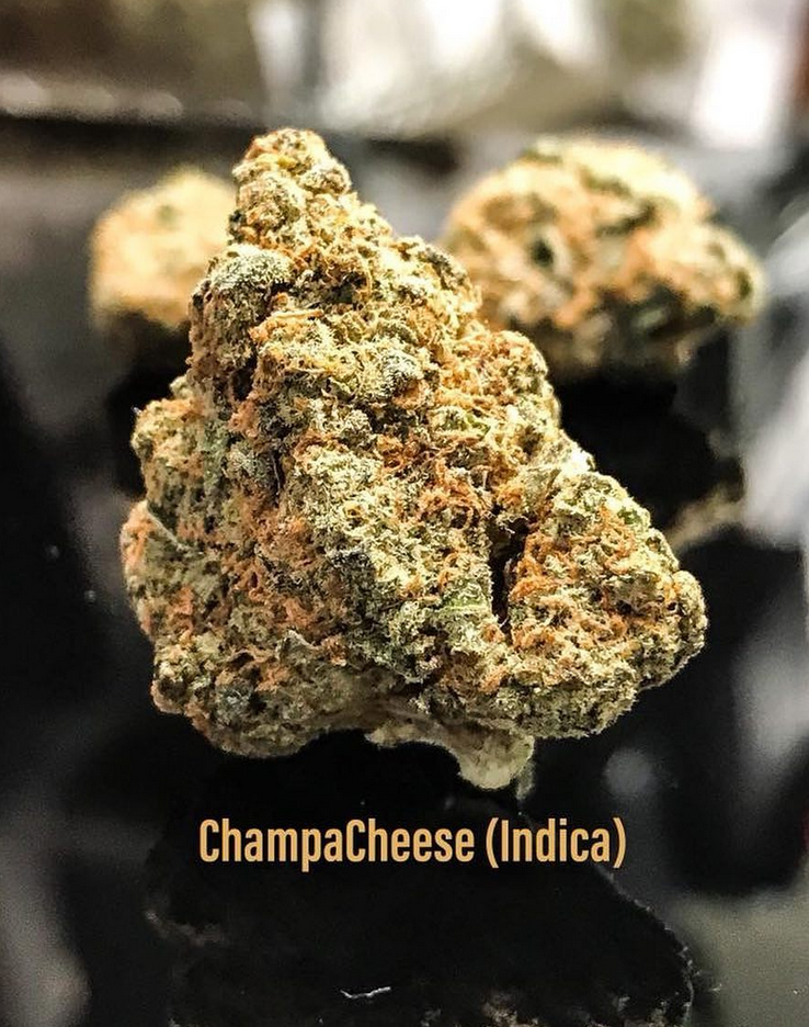 ChampaCheese grown by saints Indica