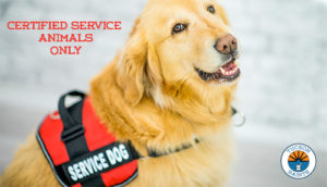 certified service dogs inside dispensary only