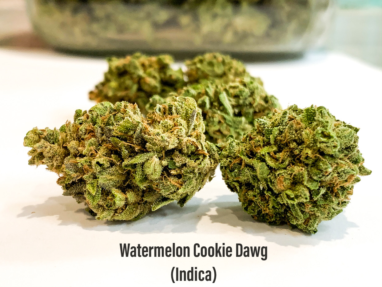 watermelon cookie dawg indica strain