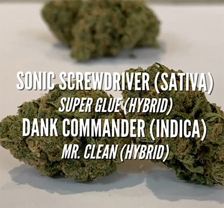 sonic screwdriver mr clean super glue sunday strains saints