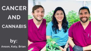 cancer and cannabis dispensary specialists talk about strains and treatment
