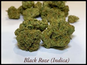 black ROZE strain indica Tucson SAINTS