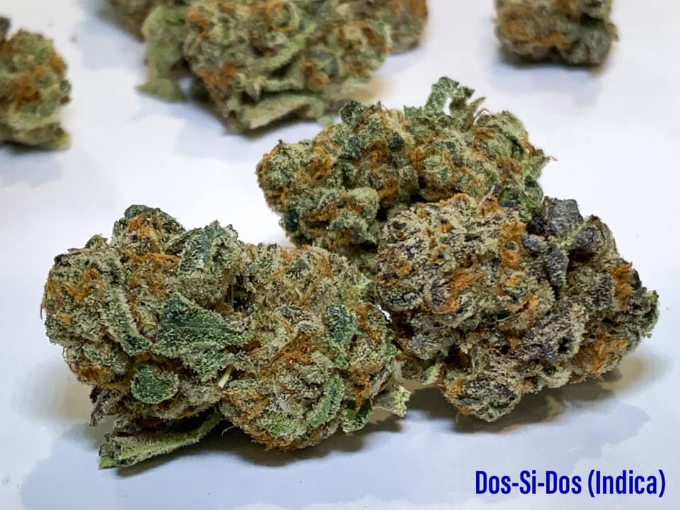 dancing with dosidos indica strain dispensary