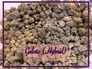 Gelato saints strain 2020 grow