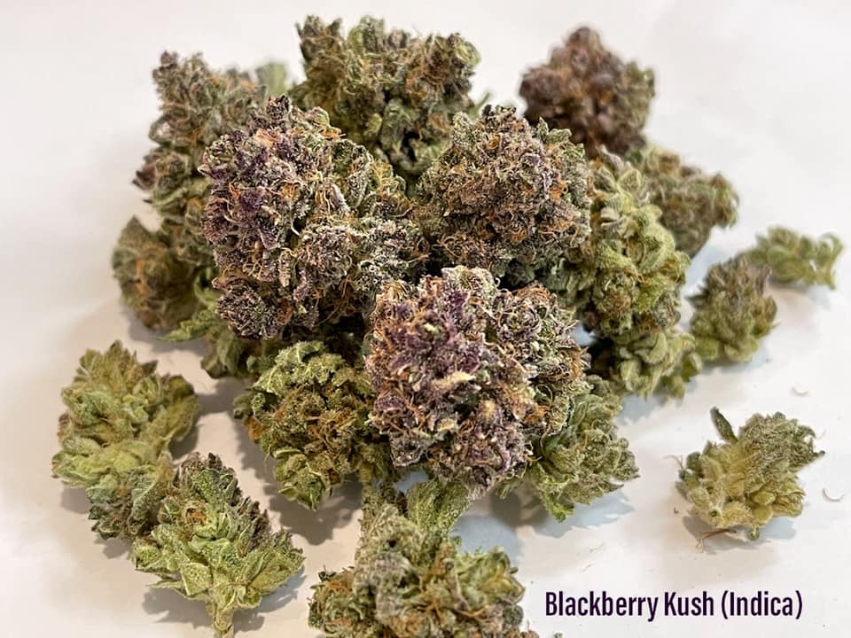blackberry kush indica strain tucson saints dispensary
