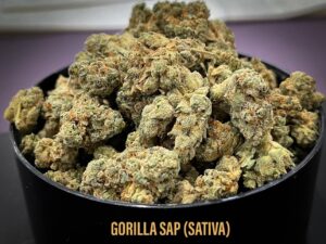 Gorilla SAP Sativa strain