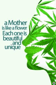 cannabis mothersday a Mother is like a flower each one is beautiful and unique
