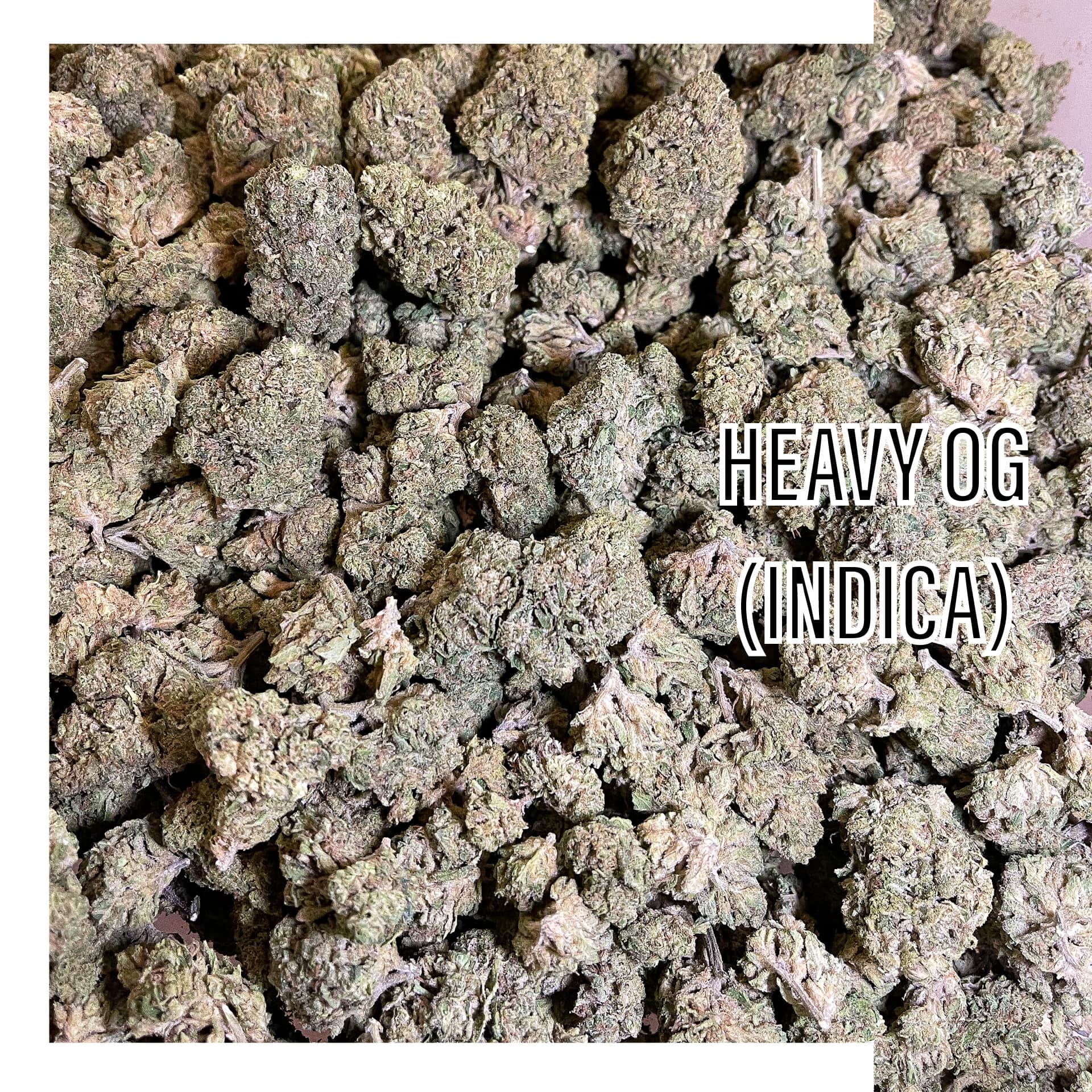 heavy OG Indica strain for depression and anxiety