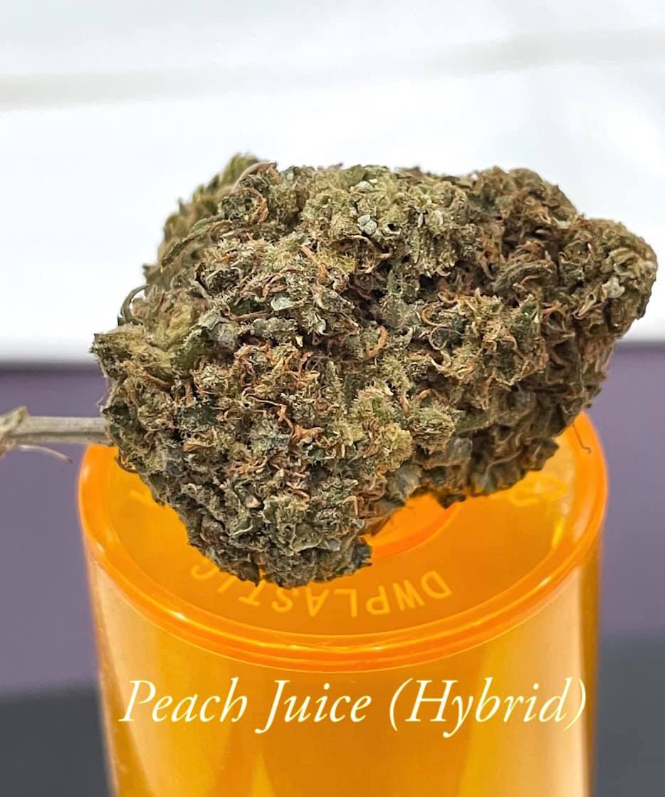 peach juice hybrid strain