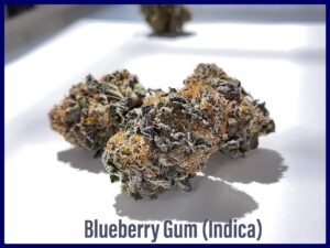 blueberry gum indica strain weed