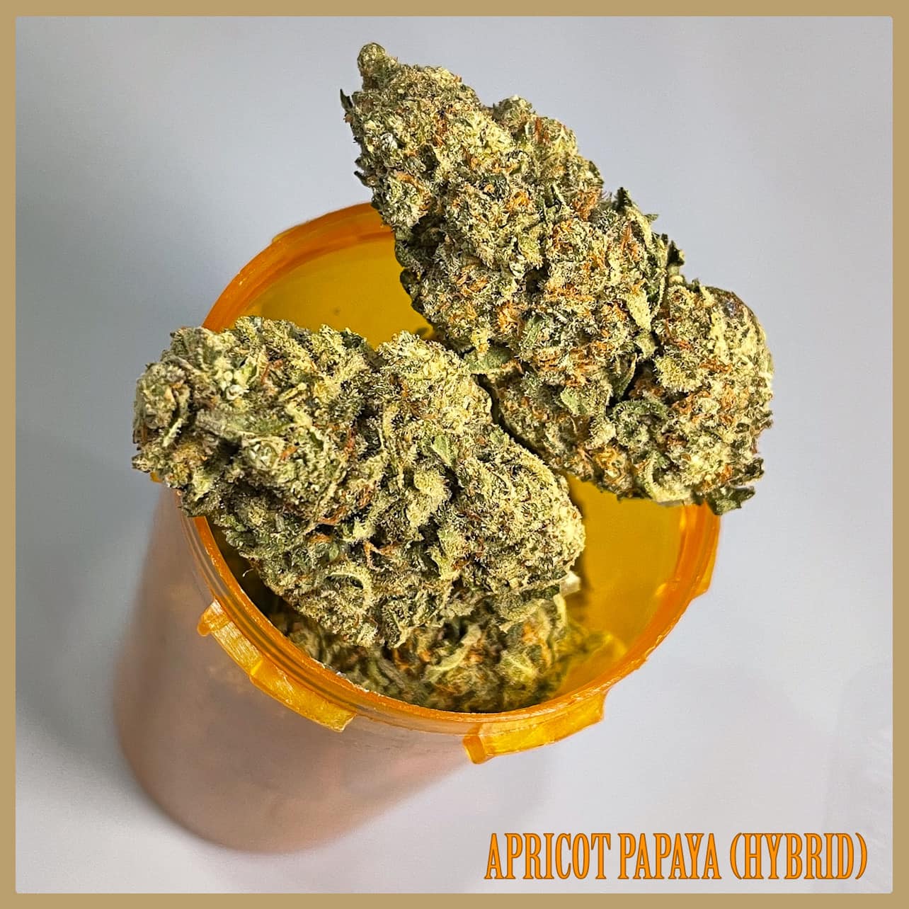 apricot papaya Hybrid strain
