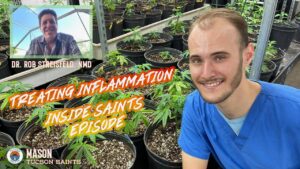 treating inflammation with cannabis marijuana inside saints episode.jpg