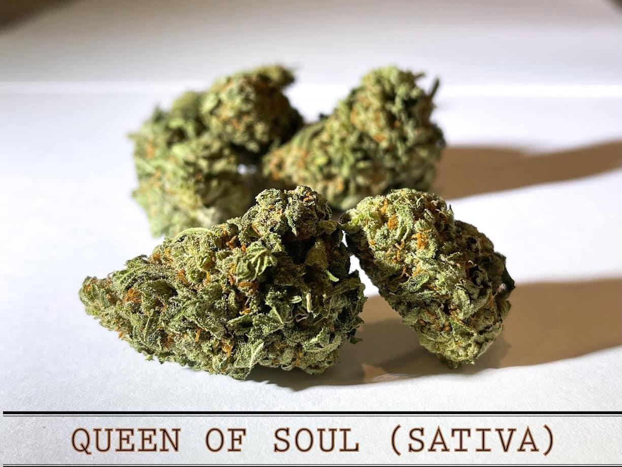 Queen of Soul Sativa Strain